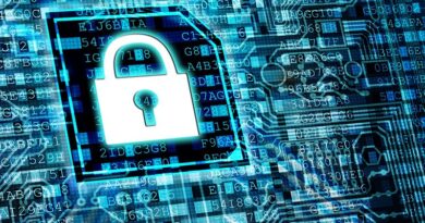 Why bug bounty schemes have not led to secure software