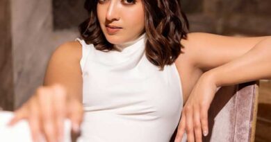 Catherine Tresa Joins Sundeep Kishan for a Glamorous Song in Sigma