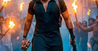 Dhurandhar Worldwide Boxoffice Collection | cinejosh.com