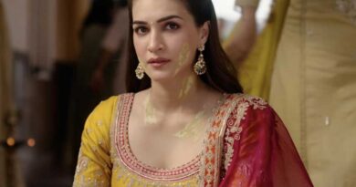 Kriti Sanon on criticism over her role in Tere Ishk Mein