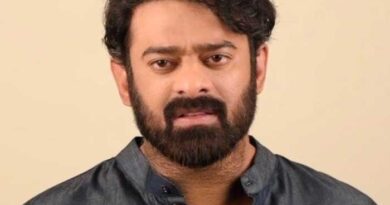 Prabhas to fight hundreds in Spirit