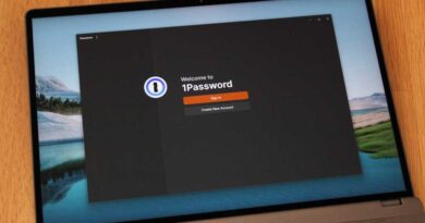 1Password app on a Windows 11 laptop (Dec 2025)