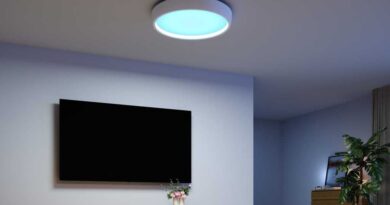 Govee Sky Celling Light main