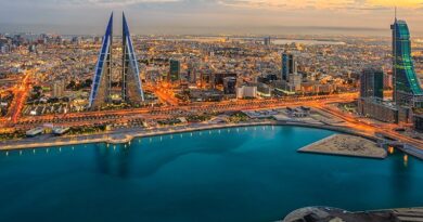 How Bahrain is building a region-leading digital economy