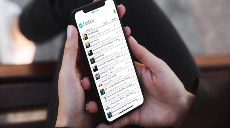 FileLu Cloud Storage Premium Plan: Lifetime Subscription