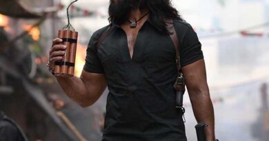 Dhurandhar To Surpass Pushpa 2 In Hindi