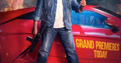 Experts on Mana Sankara Vara Prasad Garu court order on negative ratings