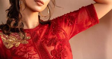 Meenakshi Choudhary About Her Marriage