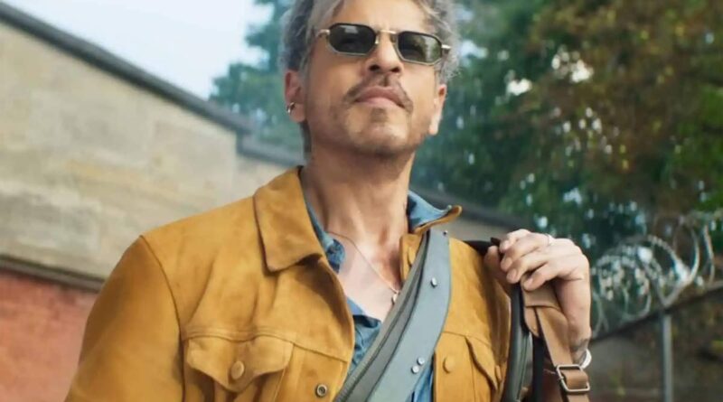 Shah Rukh Khan King inspired by this foreign film