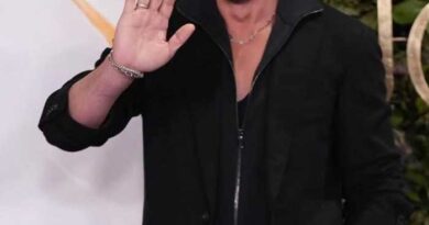 Shah Rukh Khan Returns As Don 3 But With A Condition