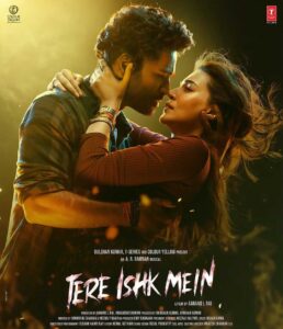 Tere Ishk Mein To Stream On Netflix From This Date