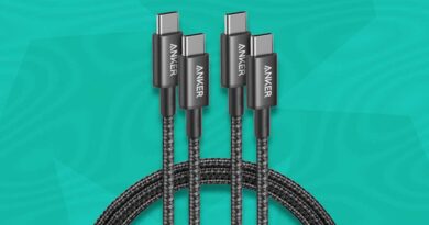 Anker 100W USB-C cables 2-pack deal