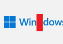 Microsoft Windows 11 split