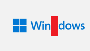 Microsoft Windows 11 split