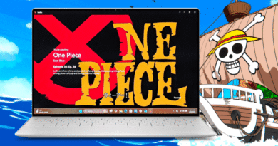 One Piece on a Windows laptop
