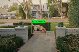 Ring Search Party super bowl ad