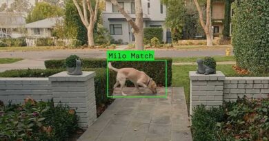 Ring Search Party super bowl ad