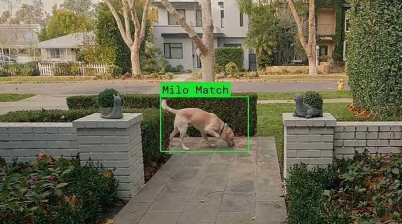 Ring Search Party super bowl ad