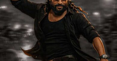 Nani The Paradise First Single Aaya Sher Rocking Music Charts