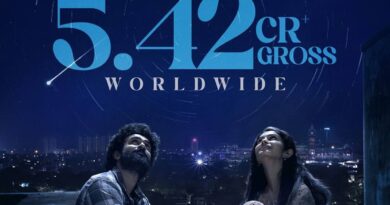 Couple Friendly Three Days Box Office Collections