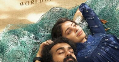 Couple Friendly Ten Days Box Office Collection