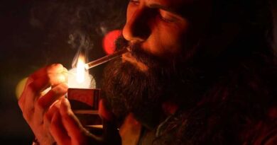 BMC blacklists Dhurandhar2 | cinejosh.com