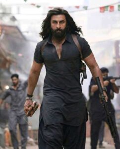 Dhurandhar Trends at No 1 on Netflix Despite Banned Status