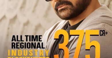 Mana Shankara Vara Prasad Garu Posts Strong WW Total Of 375 Cr