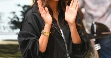 Mrunal Thakur Opened About Lineup Rumours With Dhanush