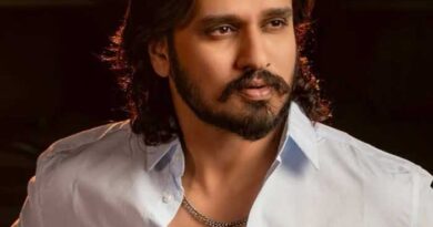 Karthikeya 3 A Blockbuster Franchise Continues