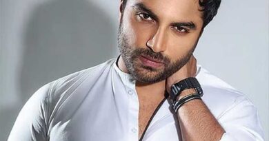 Vishwak Sen Box Office Challenges During Valentines Season