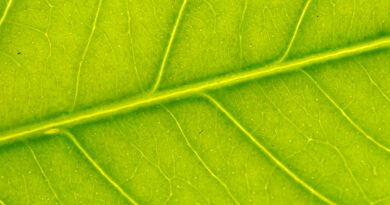 Getting started with measuring AI’s carbon footprint