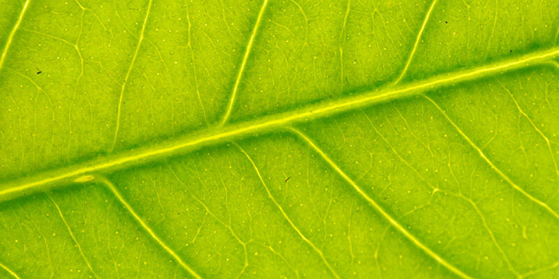 Getting started with measuring AI’s carbon footprint