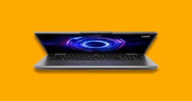 Lenovo LOQ 17IRX10 gaming laptop