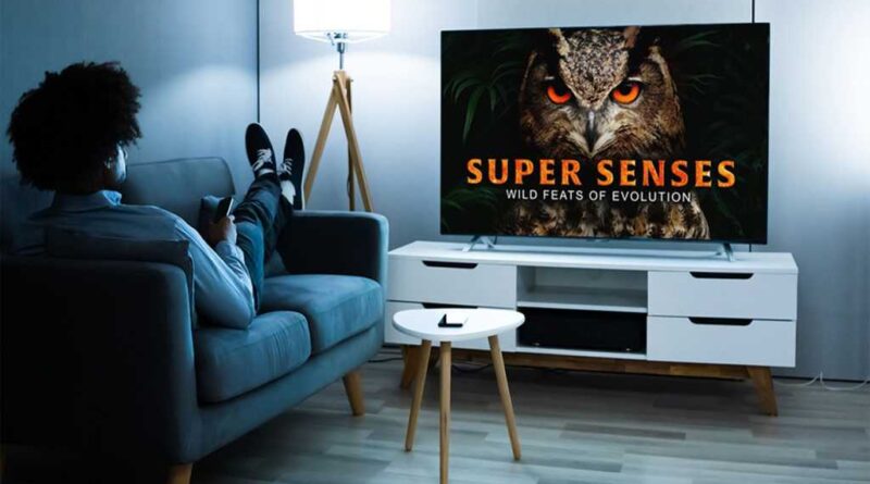 MagellanTV Documentary Streaming Service: Lifetime Subscription