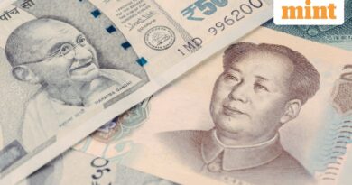 Maximize FDI without worrying about the colour of money but act to minimize security threats too