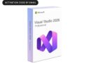 Microsoft Visual Studio Professional 2026