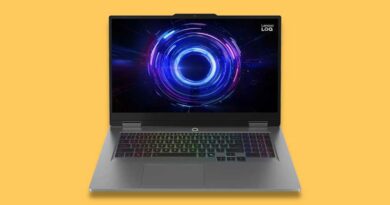 Lenovo LOQ 17 17IRX10 Gaming Laptop