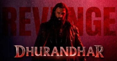 Films With Shortest Release Gap Between Installments Compared To Dhurandhar 2