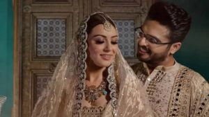 Hansika Motwani-Sohael Khaturiya divorced | cinejosh.com