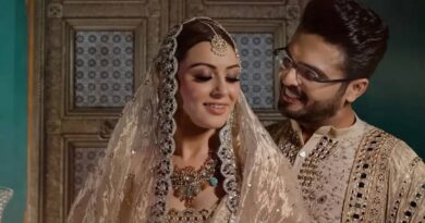 Hansika Motwani-Sohael Khaturiya divorced | cinejosh.com