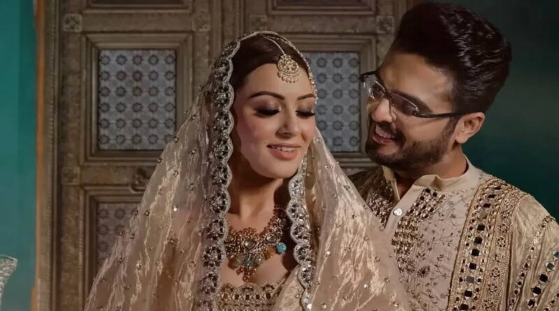 Hansika Motwani-Sohael Khaturiya divorced | cinejosh.com