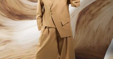 Manchu Lakshmi About Journalist Suspension