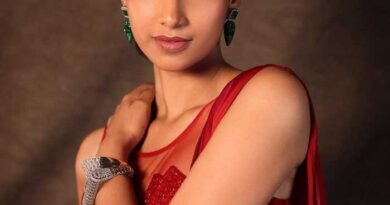 Meenakshi Chaudhary about her favourite IPL team