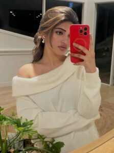 Sreeleela lands in a Bollywood project