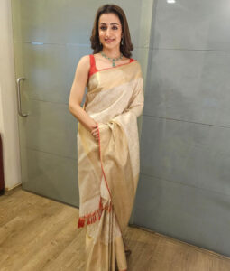 Trisha Krishnan Possible Political Debut