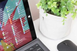 List of apps on Windows PC laptop next to plant and mouse on desk