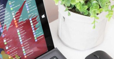 List of apps on Windows PC laptop next to plant and mouse on desk