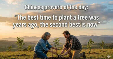 Chinese proverb of the day: “The best time to plant a tree was years ago, the second best is now”