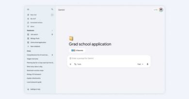 Google Gemini Notebooks
